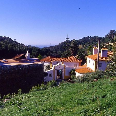 Bed and Breakfast Quinta Do Rio Touro Азойя Экстерьер фото