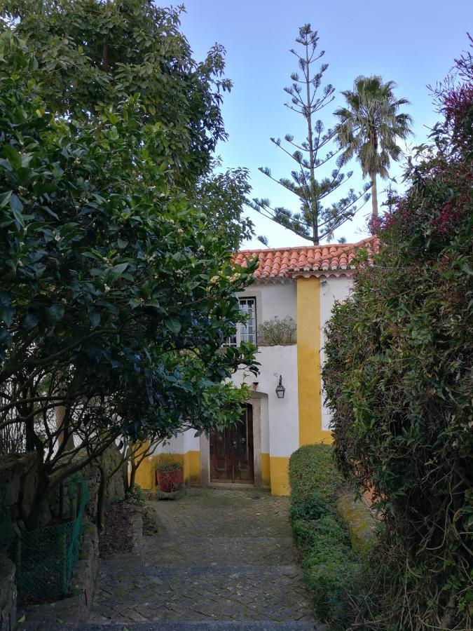 Bed and Breakfast Quinta Do Rio Touro Азойя Экстерьер фото