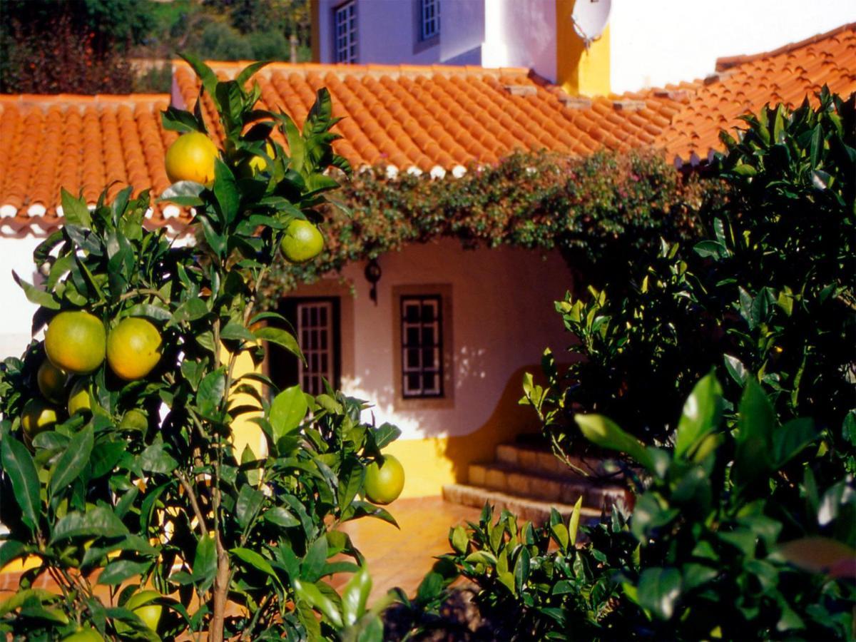 Bed and Breakfast Quinta Do Rio Touro Азойя Экстерьер фото