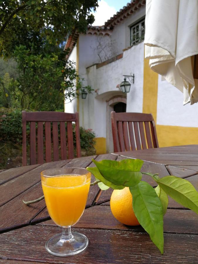 Bed and Breakfast Quinta Do Rio Touro Азойя Экстерьер фото