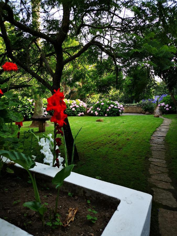 Bed and Breakfast Quinta Do Rio Touro Азойя Экстерьер фото