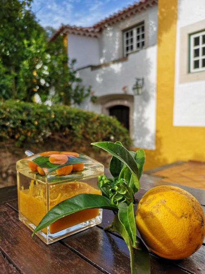 Bed and Breakfast Quinta Do Rio Touro Азойя Экстерьер фото